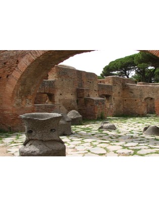 Visite guidate Ostia Antica