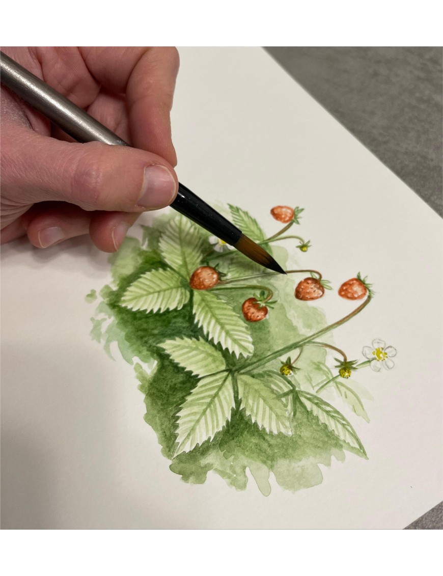 Cours d'aquarelle 15.01.2023