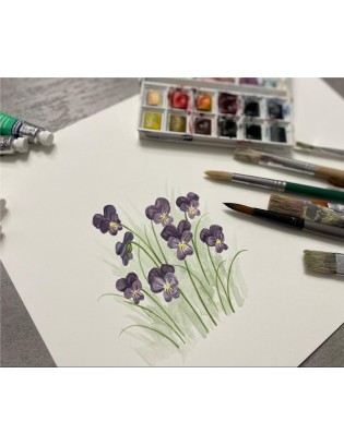 Workshops Watercolor 15.01.2023